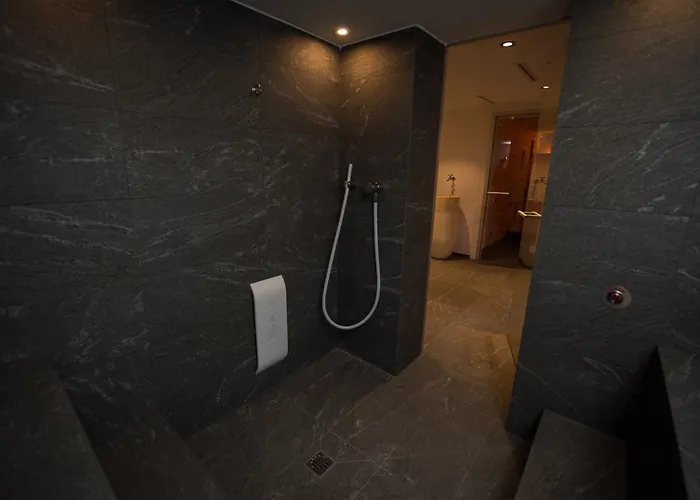 公寓式酒店 全景滑雪公寓式酒店 采尔马特